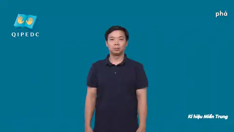 phá - Ngôn Ngữ ký Hiệu - Vùng miền Huế - Phân loại