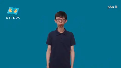 pha lê - Ngôn Ngữ ký Hiệu - Vùng miền Toàn Quốc - Phân loại