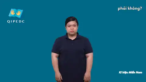 phải không? - Ngôn Ngữ ký Hiệu - Vùng miền Thành Phố Hồ Chí Minh - Phân loại Từ thông dụng, Câu hỏi