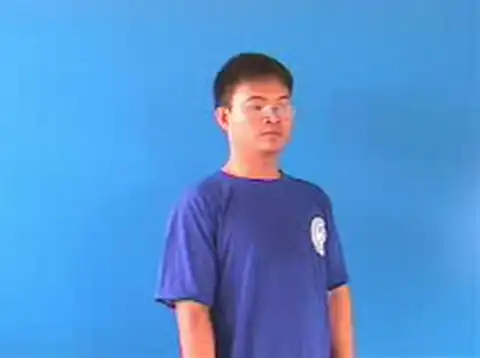 phần mềm - Ngôn Ngữ ký Hiệu - Vùng miền Hà Nội - Phân loại Tin học