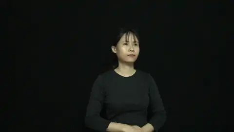 phân tích - Ngôn Ngữ ký Hiệu - Vùng miền Thành Phố Hồ Chí Minh - Phân loại Hành động