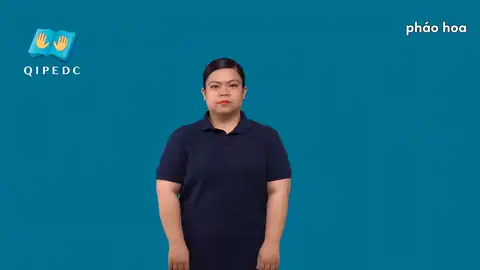 pháo hoa - Ngôn Ngữ ký Hiệu - Vùng miền Toàn Quốc - Phân loại