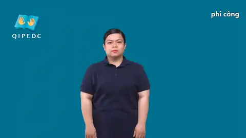 phi công - Ngôn Ngữ ký Hiệu - Vùng miền Toàn Quốc - Phân loại