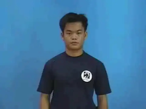 phiền - Ngôn Ngữ ký Hiệu - Vùng miền Thành Phố Hồ Chí Minh - Phân loại Tính cách - Tính chất