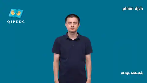 phiên dịch - Ngôn Ngữ ký Hiệu - Vùng miền Hà Nội - Phân loại