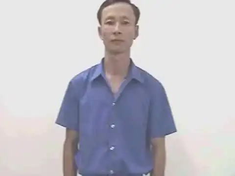 phở - Ngôn Ngữ ký Hiệu - Vùng miền Bình Dương - Phân loại Ẩm thực - Món ăn