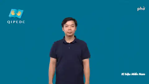 phở - Ngôn Ngữ ký Hiệu - Vùng miền Thành Phố Hồ Chí Minh - Phân loại