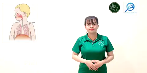 phổi - Ngôn Ngữ ký Hiệu - Vùng miền Thành Phố Hồ Chí Minh - Phân loại Sức khỏe - Bộ phận cơ thể, Danh Từ, Dự Án 250 Ký Hiệu Y Khoa