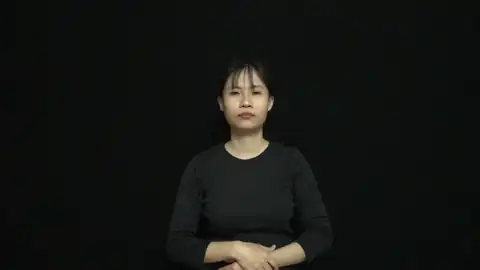 phục vụ - Ngôn Ngữ ký Hiệu - Vùng miền Thành Phố Hồ Chí Minh - Phân loại Hành động