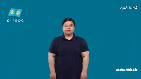 quả bưởi - Ngôn Ngữ ký Hiệu - Vùng miền Hà Nội - Phân loại