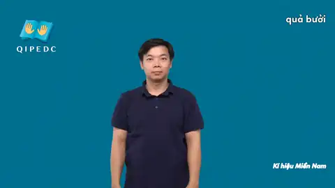 quả bưởi - Ngôn Ngữ ký Hiệu - Vùng miền Thành Phố Hồ Chí Minh - Phân loại