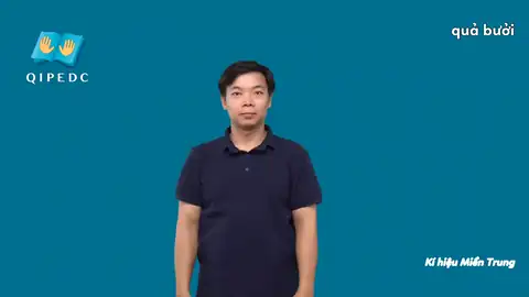 quả bưởi - Ngôn Ngữ ký Hiệu - Vùng miền Huế - Phân loại
