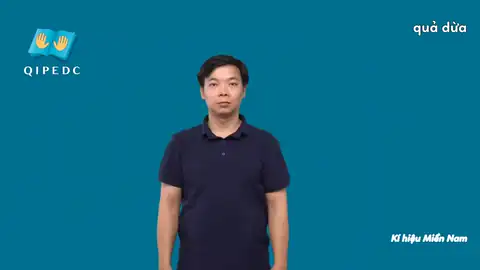 quả dừa - Ngôn Ngữ ký Hiệu - Vùng miền Thành Phố Hồ Chí Minh - Phân loại