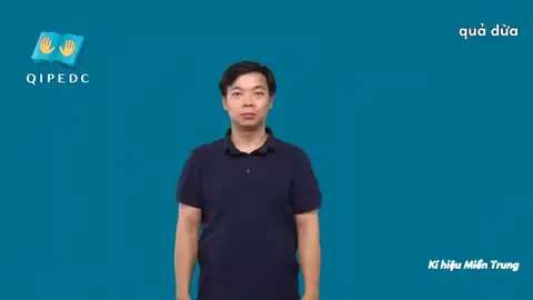 quả dừa - Ngôn Ngữ ký Hiệu - Vùng miền Huế - Phân loại