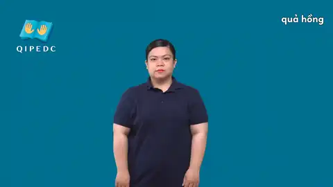 quả hồng - Ngôn Ngữ ký Hiệu - Vùng miền Toàn Quốc - Phân loại
