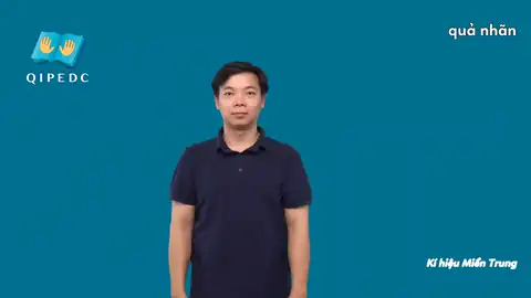 quả nhãnv - Ngôn Ngữ ký Hiệu - Vùng miền Huế - Phân loại