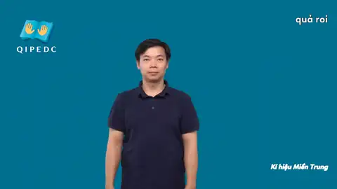 quả roi - Ngôn Ngữ ký Hiệu - Vùng miền Huế - Phân loại