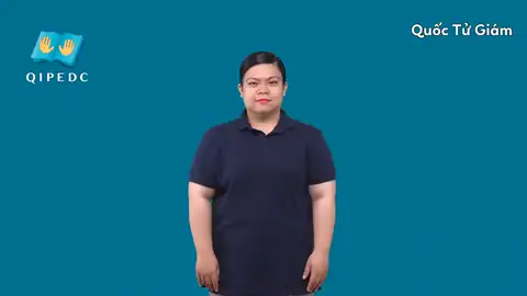 Quốc Tử Giám - Ngôn Ngữ ký Hiệu - Vùng miền Toàn Quốc - Phân loại