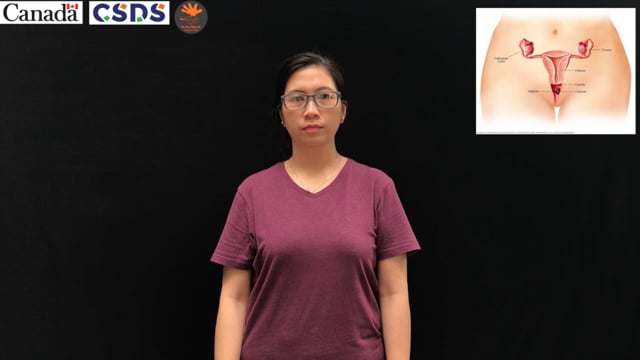 Bộ phận sinh dục nữ