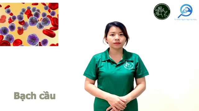 bạch cầu