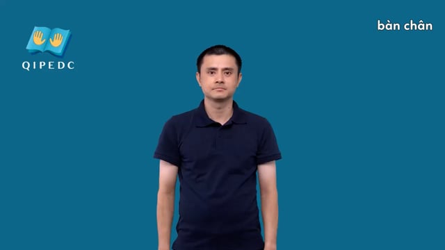 bàn chân