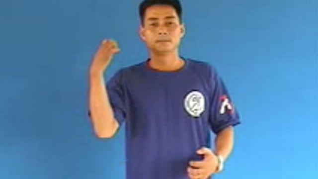 bướng bỉnh
