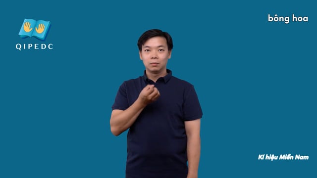 bông hoa