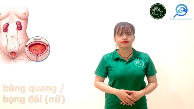 bàng quang (nữ)