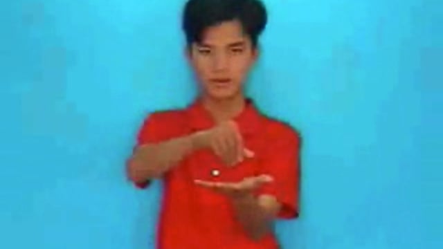 bánh bèo