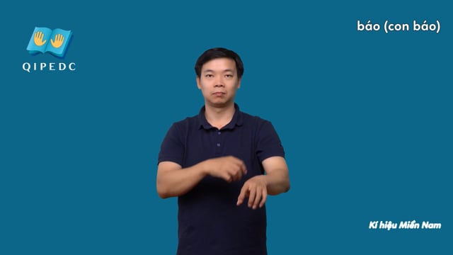 báo (con báo)