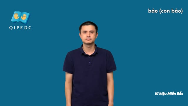 báo (con báo)