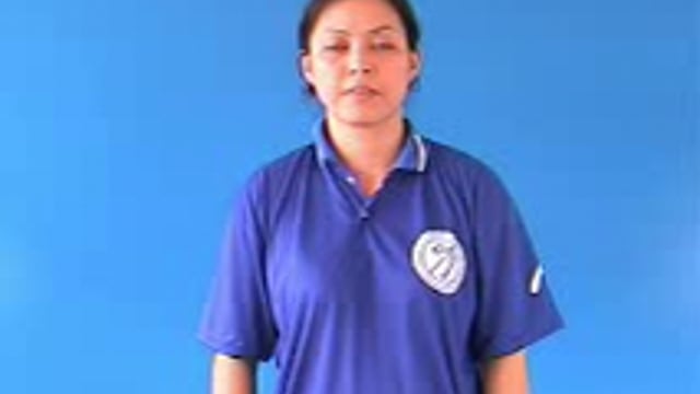 bếp điện