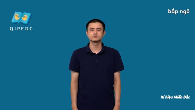 bắp ngô