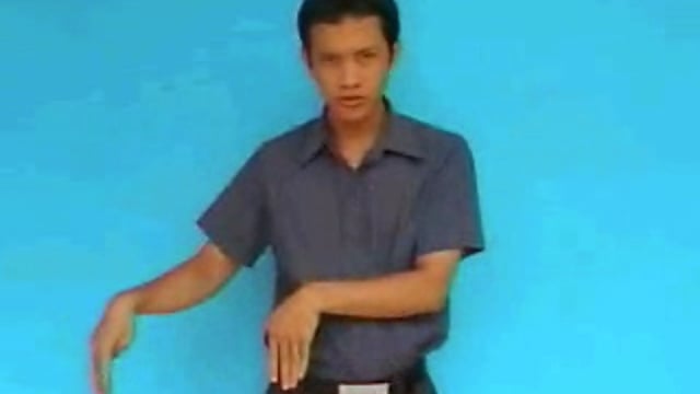 bò tót