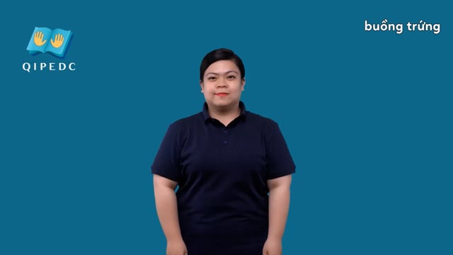 buồng trứng