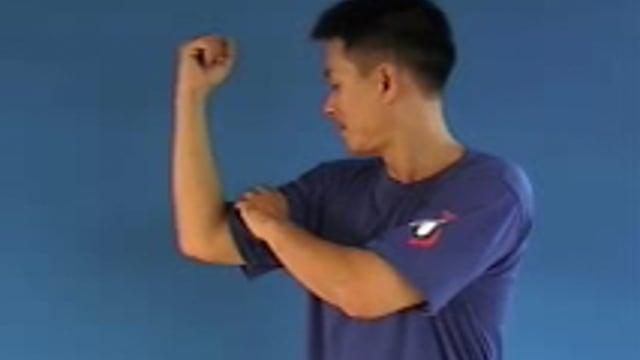 cơ bắp