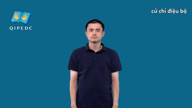 cử chỉ điệu bộ