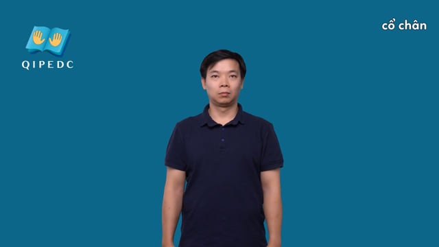 cổ chân