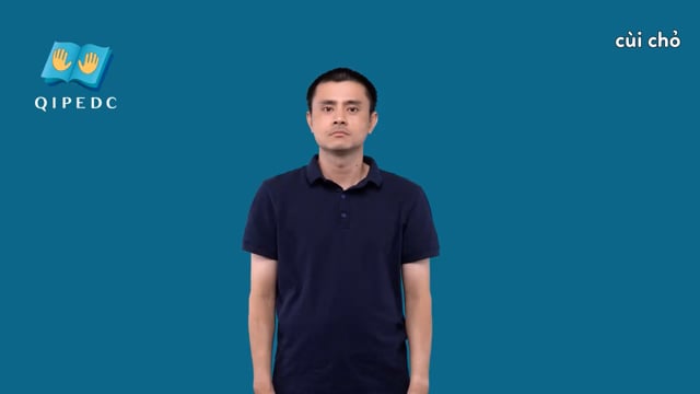 cùi chỏ