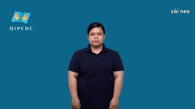 cái neo