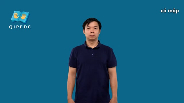 cá mập
