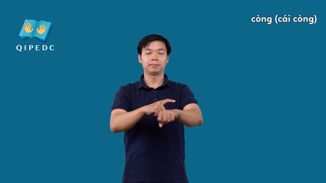 còng (cái còng)