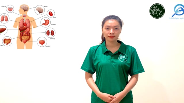 cơ quan (cơ thể)