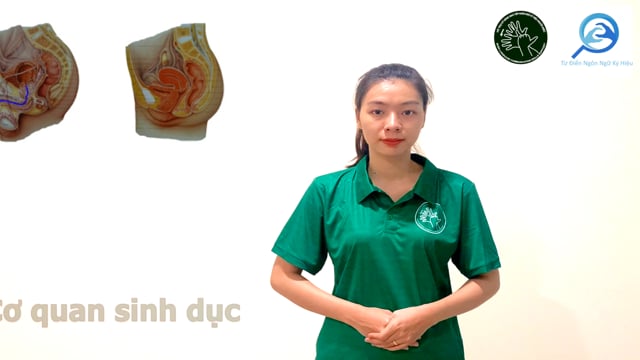 cơ quan sinh dục