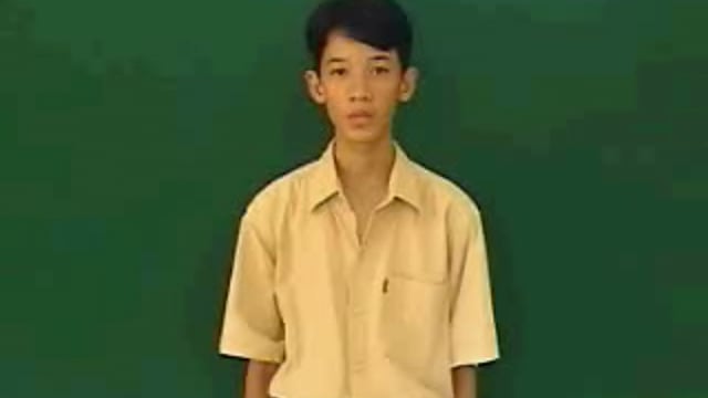 cờ tổ quốc