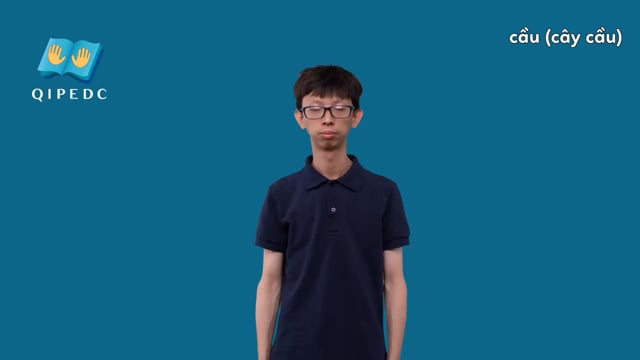 cầu (cây cầu)