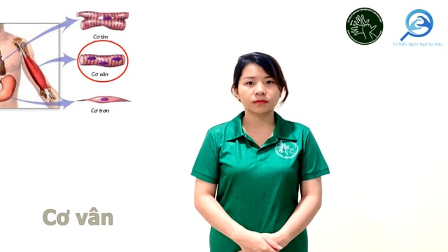 cơ vân