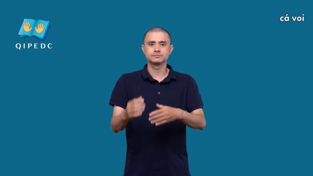 cá voi