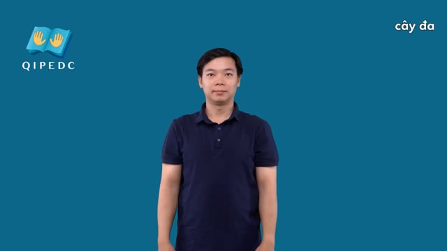 cây đa