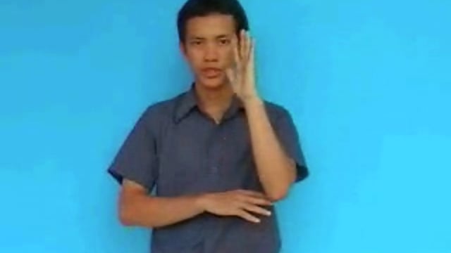 cây đay